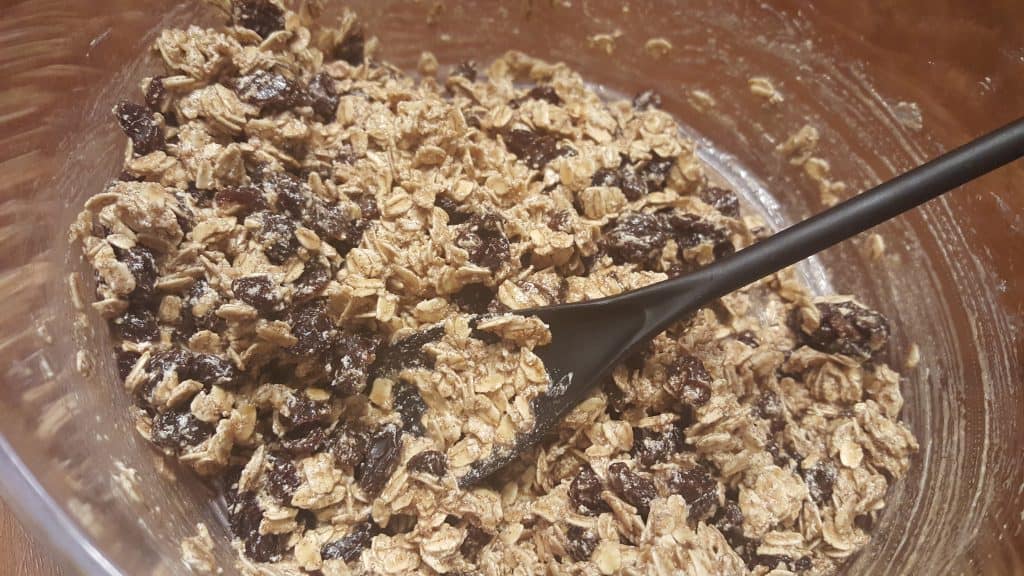 Vegan Oatmeal Raisin Cookies