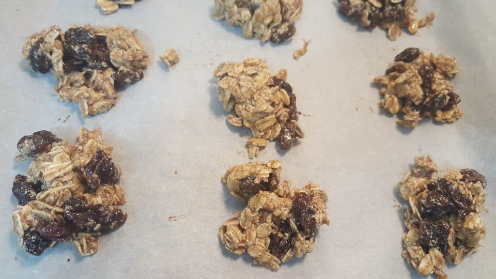 Vegan Oatmeal Raisin Cookies