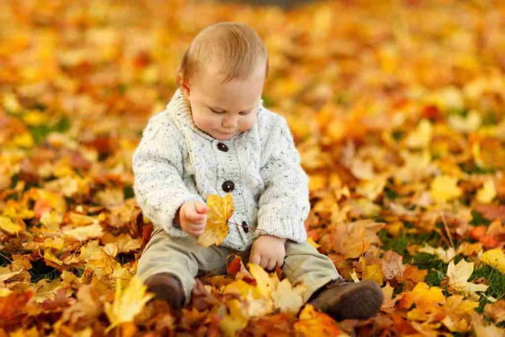 Fall activities for kids