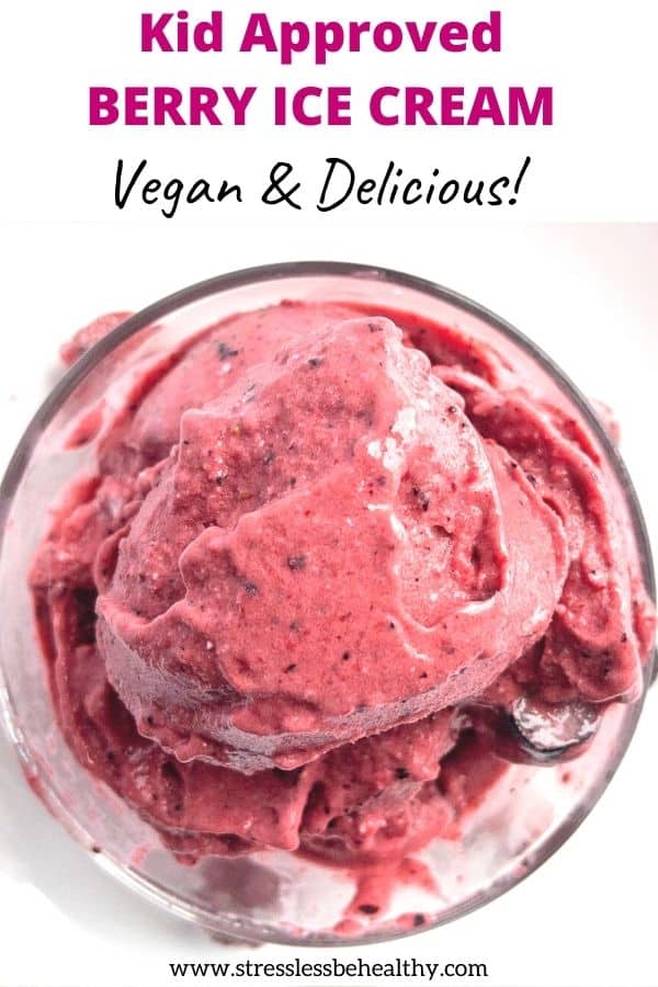 Vegan Berry Ice Cream