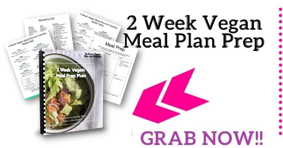 2 Week Vegan Meal Plan With Back Up Meals!