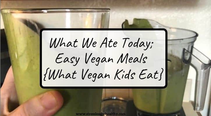 What We Ate Today; Easy Vegan Meals {What Vegan Kids Eat}