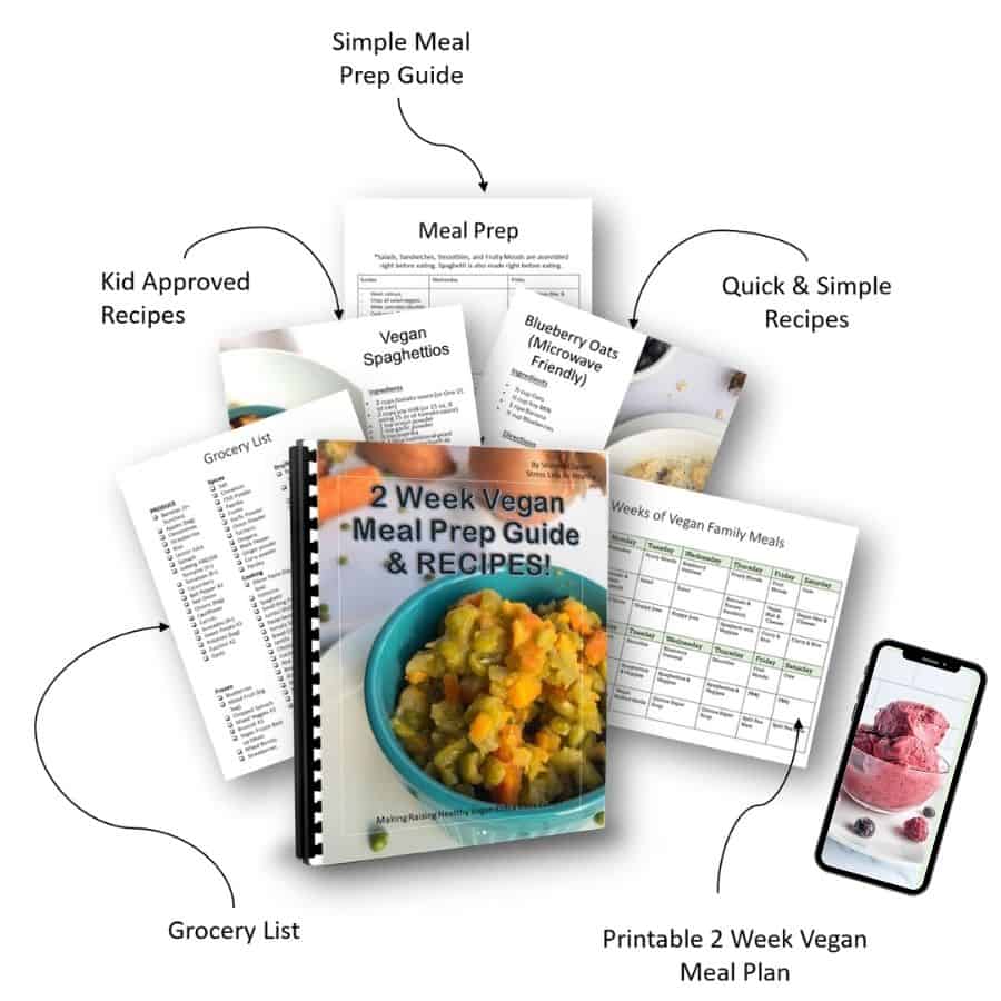 kid approved vegan family meal plan, guide, & recipes
