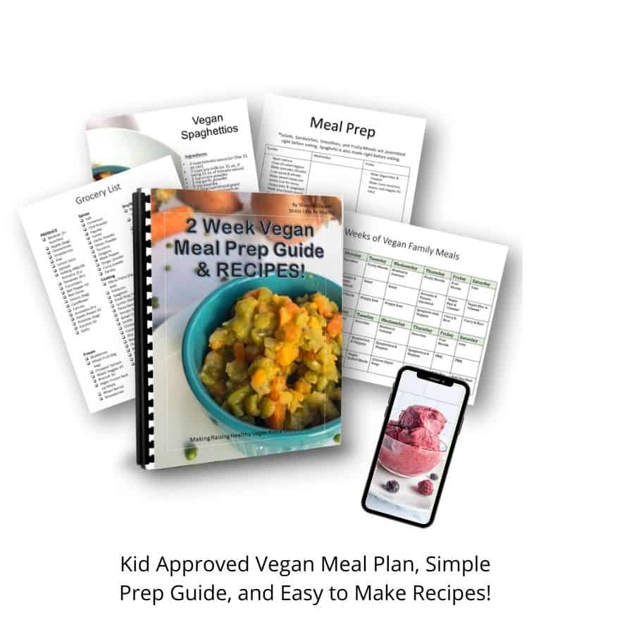 kid approved vegan family meal plan, guide, & recipes