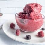 vegan berry ice cream